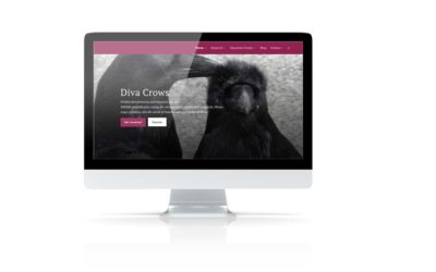 Empowering Nonprofits Through Mission-Driven Branding
