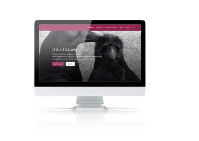 Empowering Nonprofits Through Mission-Driven Branding