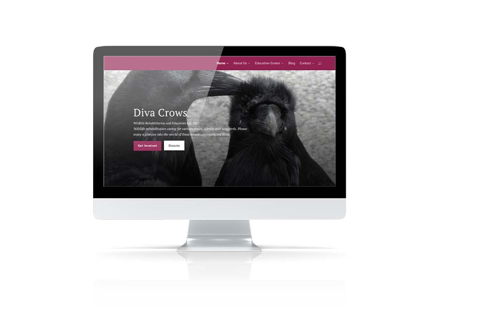 Empowering Nonprofits Through Mission-Driven Branding
