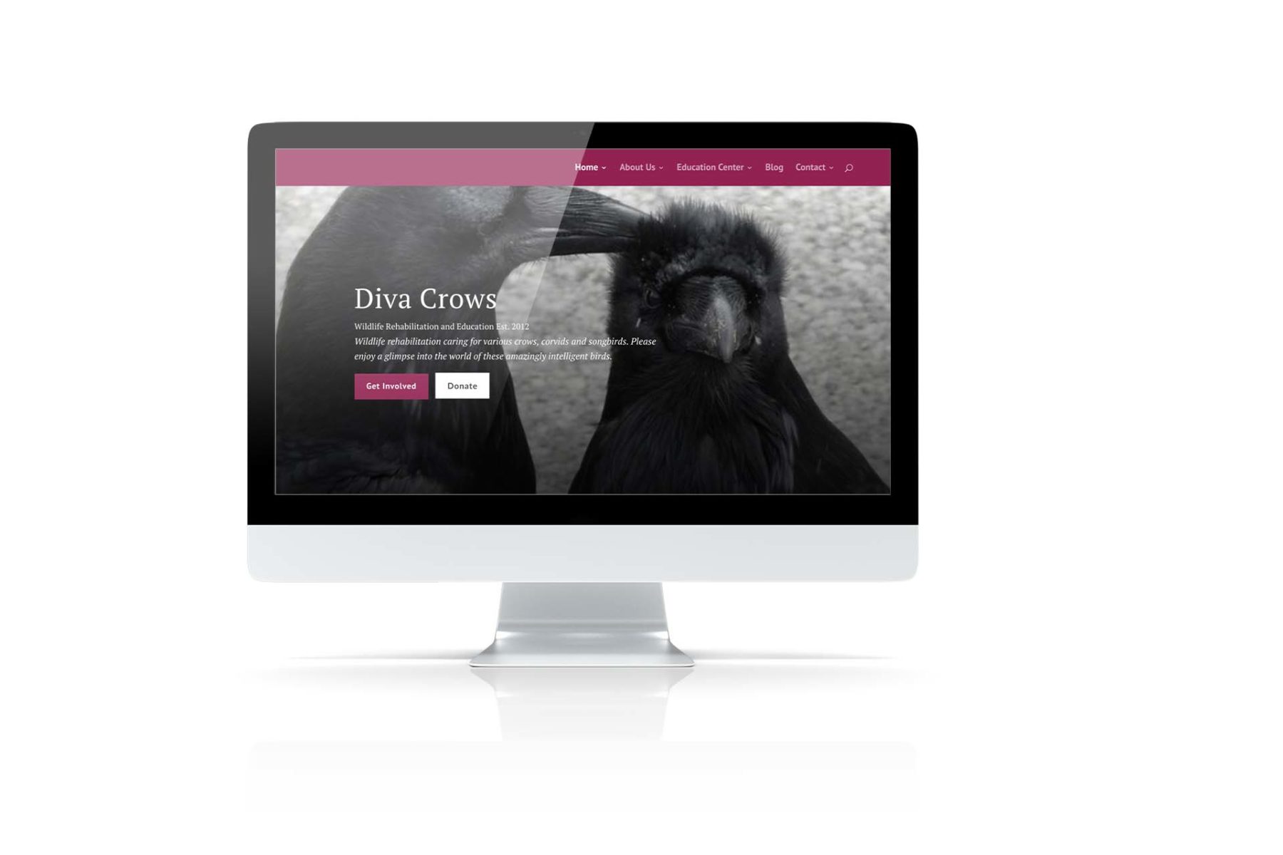 Non-Profit Website Designer Washington, DC